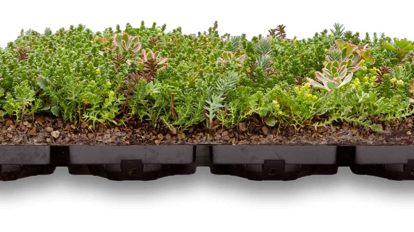 Nyt tag Frederiksberg